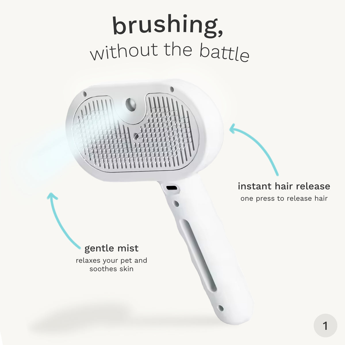 SteamGroom Pro
