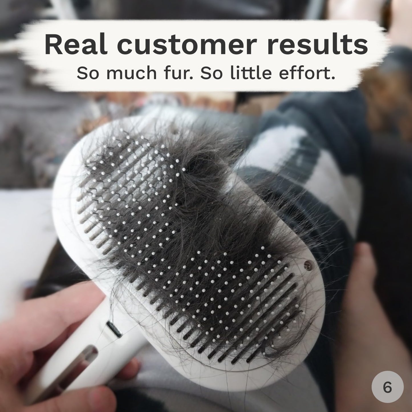 SteamGroom Pro