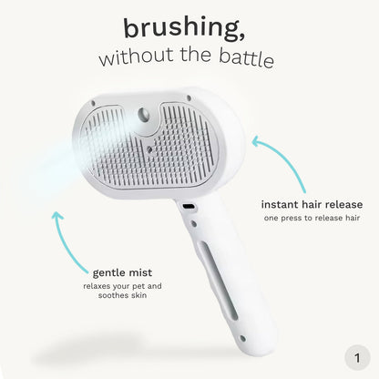 SteamGroom Pro