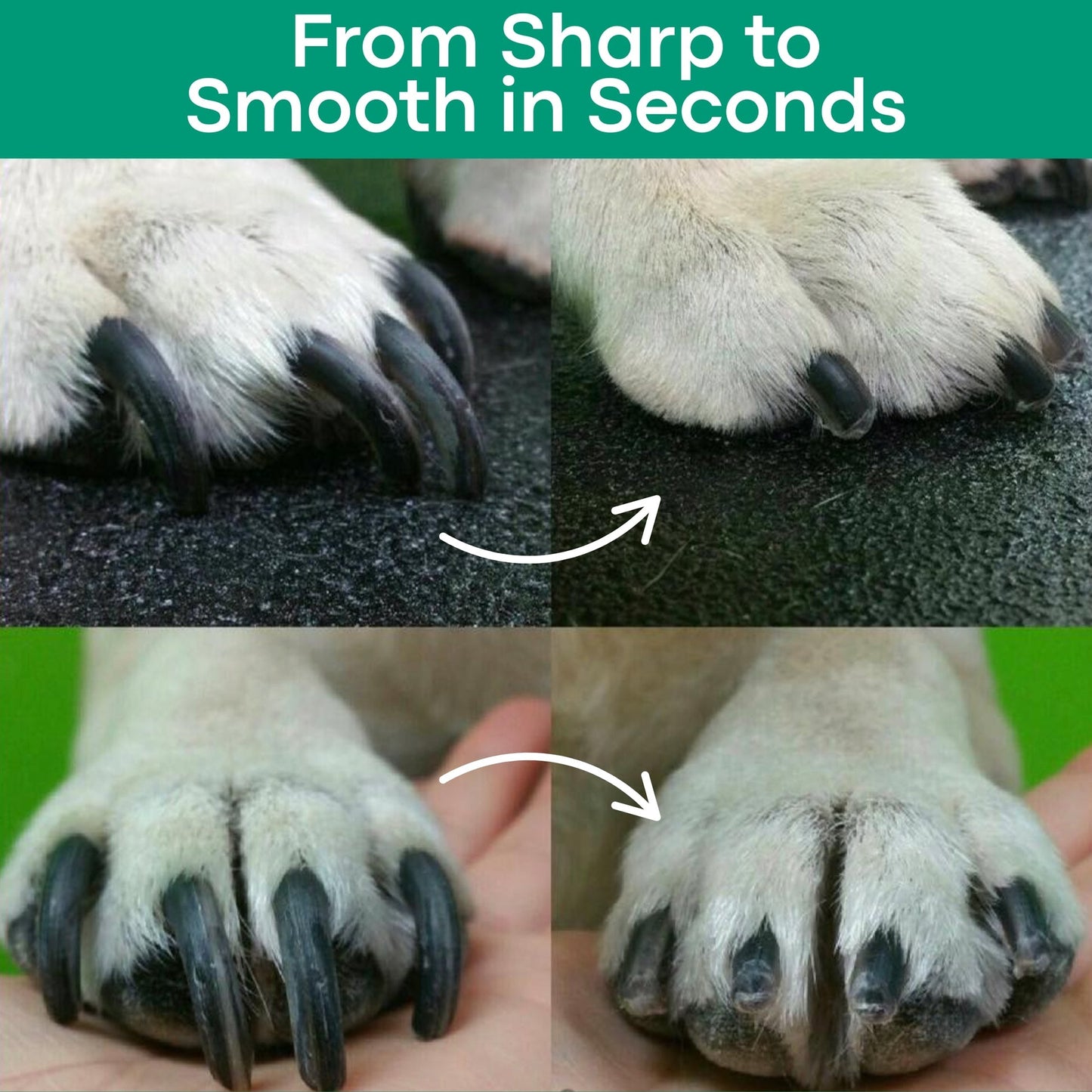 WagSafe | 2-in-1 LED Safety Nail Groomer