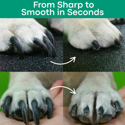 WagSafe | 2-in-1 LED Safety Nail Groomer