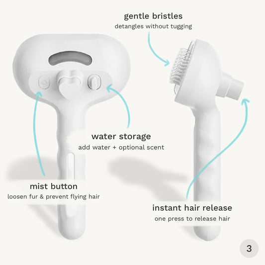 SteamGroom Pro